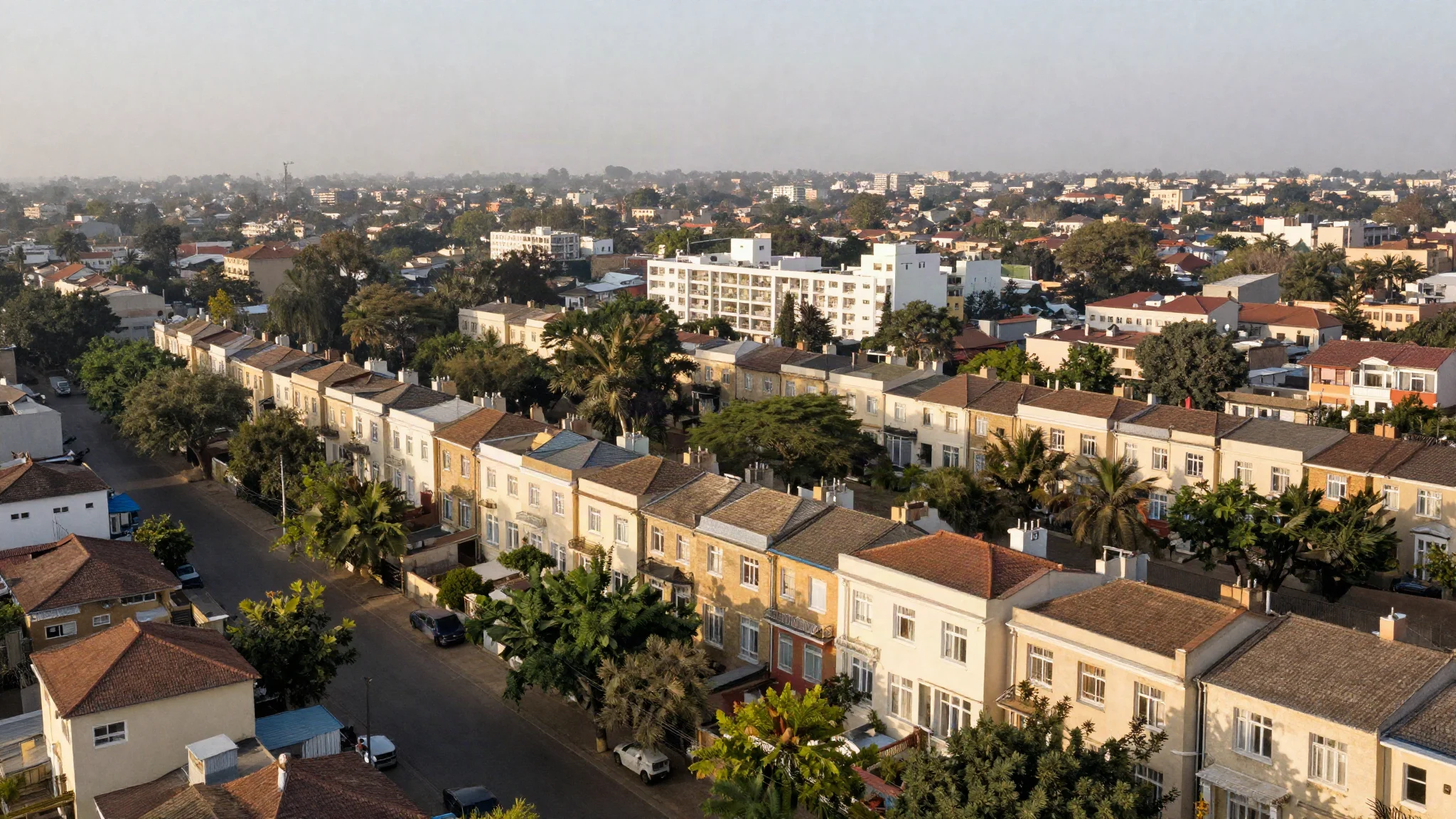 An aerial view of a tree-lined residential neighbourhood at golden hour